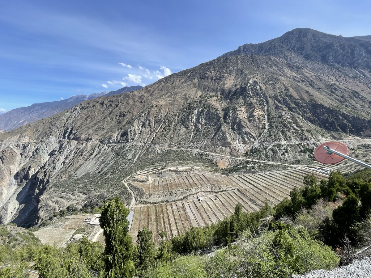 Terraced vineyards above 2,000 metres in Shangrila County